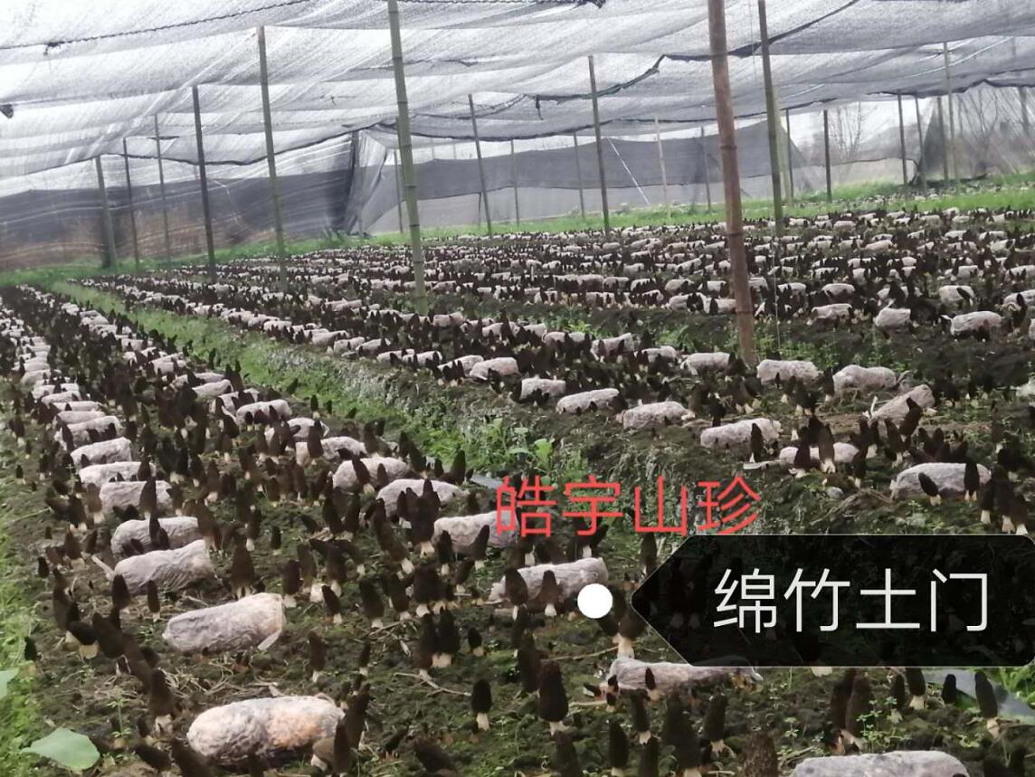 &#24320;&#20803;&#32593;&#31449;&#30331;&#24405;&#20837;&#21475;&#95;&#24320;&#20803;&#65288;&#20013;&#22269;&#65289;